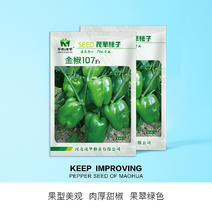 中科茂华蔬菜种子金椒107甜椒种子柿子辣椒种子