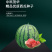 中科茂华蔬菜水果种子金美都西瓜种子改良8424抗裂