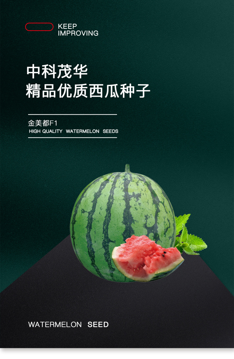 中科茂华蔬菜水果种子金美都西瓜种子改良8424抗裂
