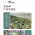 中科茂华蔬菜水果种子金美都西瓜种子改良8424抗裂
