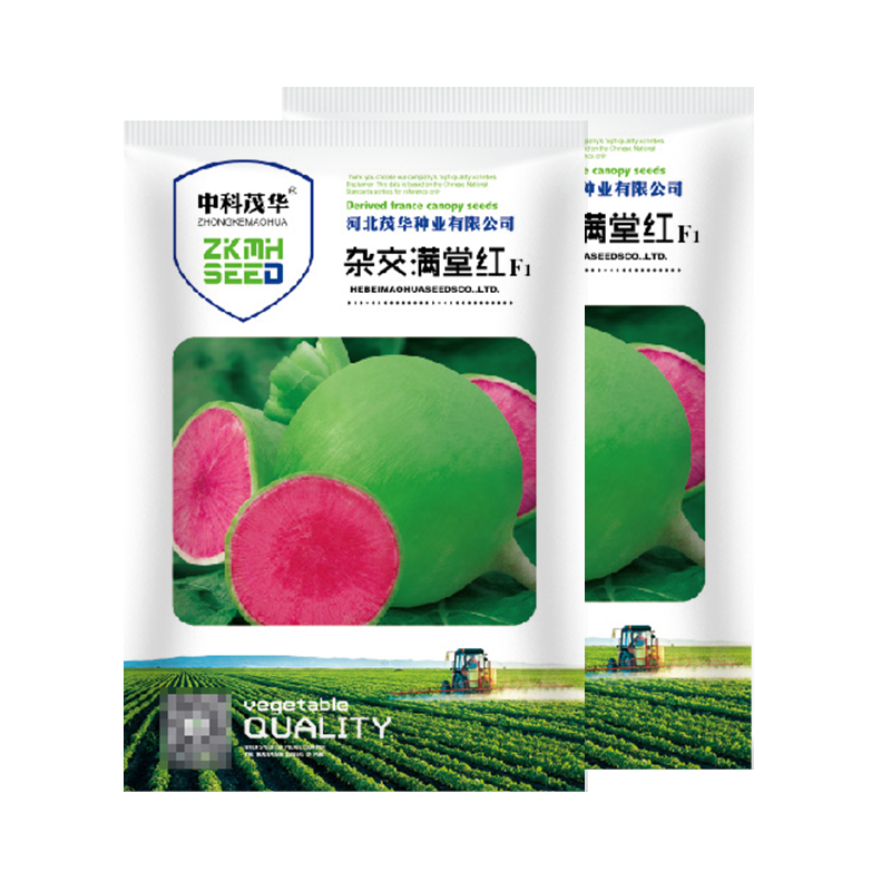 中科茂华蔬菜种子杂交满堂红心里美萝卜种子绿皮红芯