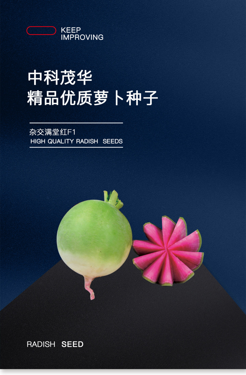 中科茂华蔬菜种子杂交满堂红心里美萝卜种子绿皮红芯