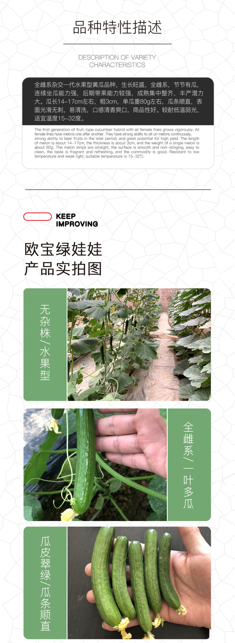 中科茂华蔬菜种子欧宝绿娃娃荷兰水果黄瓜种子