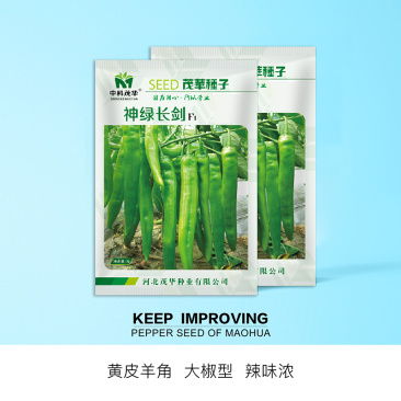 中科茂华蔬菜种子神绿长剑辣椒种子黄皮羊角牛角薄皮