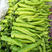 中科茂华蔬菜种子神绿长剑辣椒种子黄皮羊角牛角薄皮