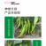 中科茂华蔬菜种子神绿长剑辣椒种子黄皮羊角牛角薄皮