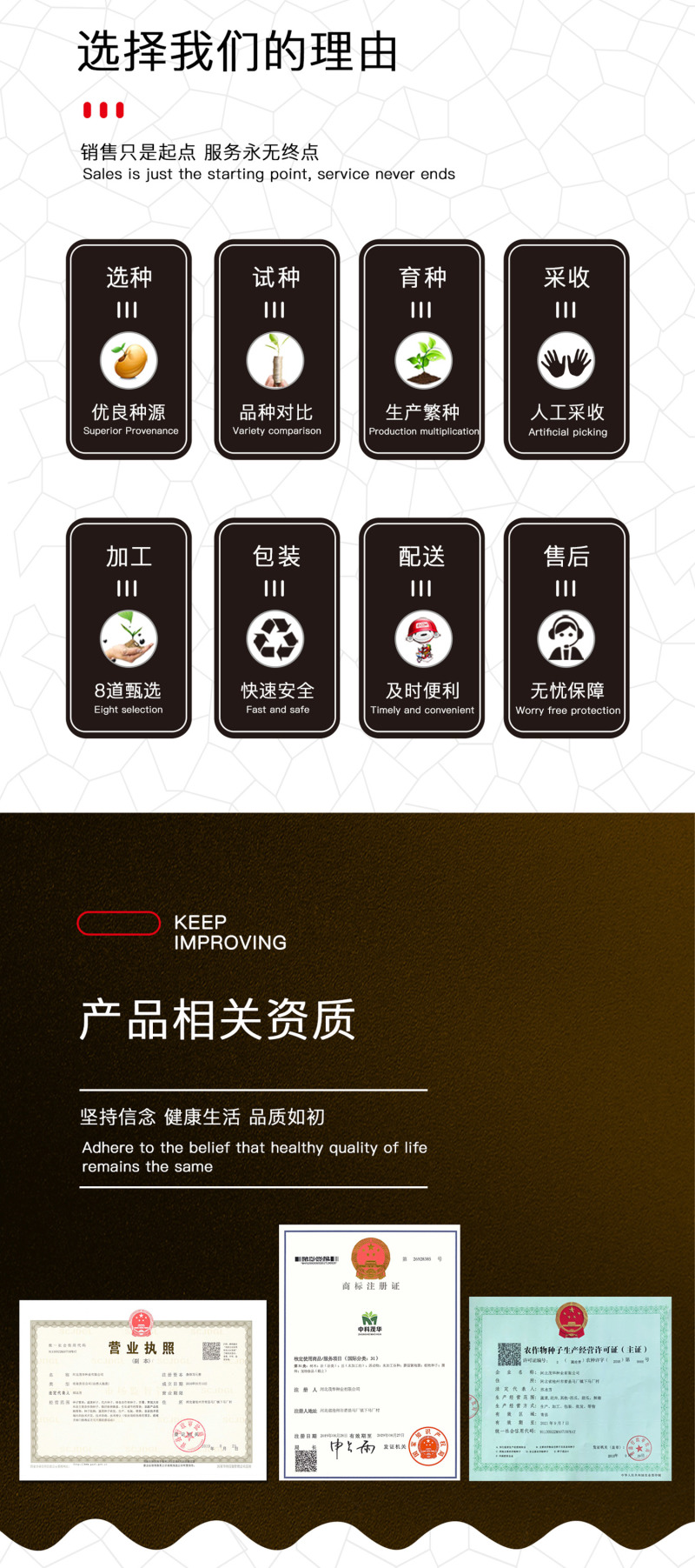 中科茂华蔬菜种子神绿长剑辣椒种子黄皮羊角牛角薄皮