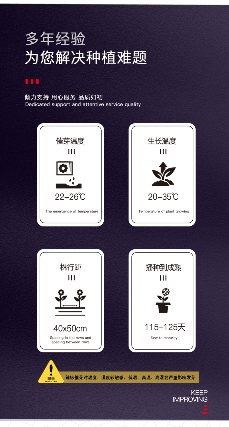 中科茂华蔬菜种子中科椒迈天椒61辣椒种子