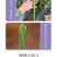 中科茂华蔬菜种子中科椒迈天椒61辣椒种子