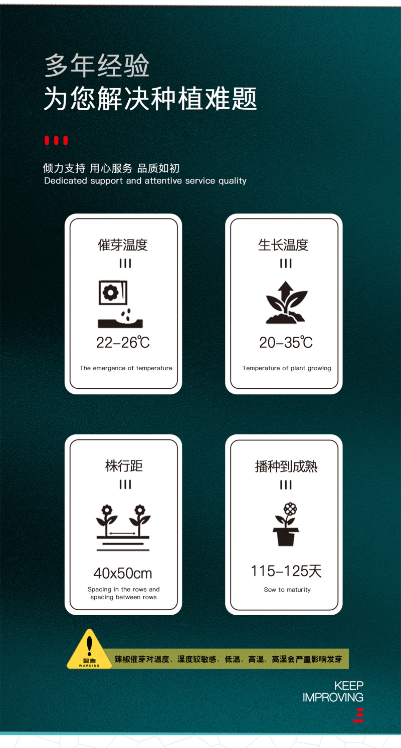 中科茂华蔬菜种子中科椒迈天椒92辣椒种子