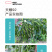 中科茂华蔬菜种子中科椒迈天椒92辣椒种子