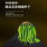 中科茂华蔬菜种子中科椒迈天椒103辣椒种子长线椒种子