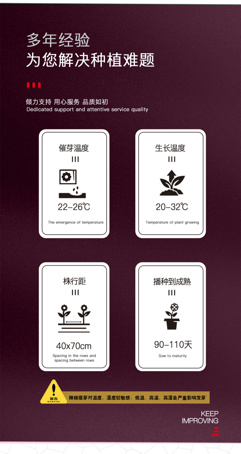 中科茂华蔬菜种子茂华天椒Z4辣椒种子