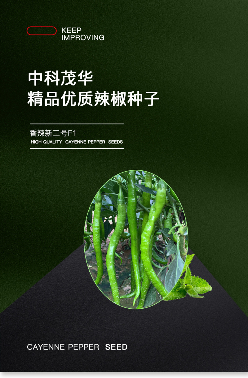 中科茂华蔬菜种子香辣三号线椒种子杂交一代浅绿色条椒