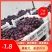 红无核葡萄皮薄肉厚甜度高直供商超市场赶集夜市邯郸基地直供