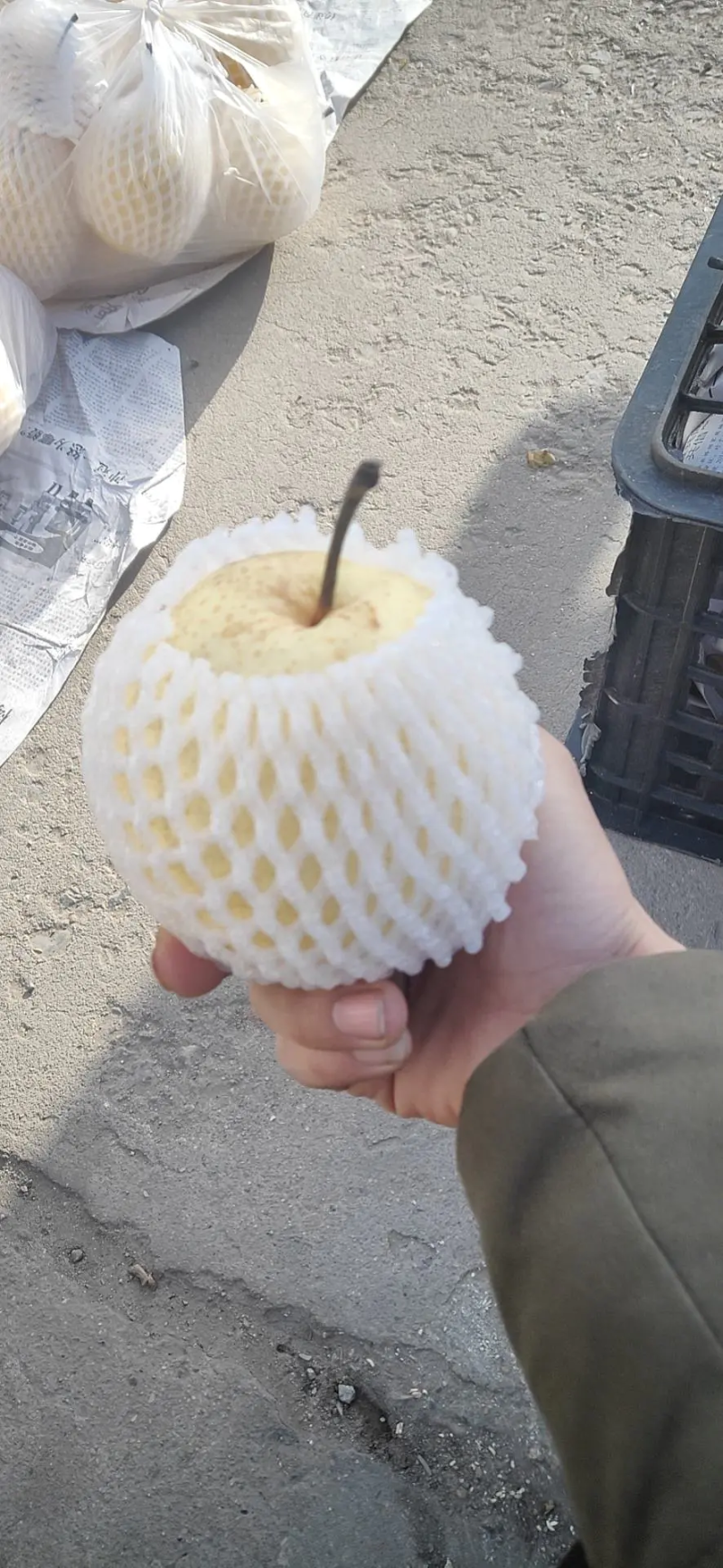 【贡梨】酥梨山西梨子产地直供品种多诚信合作全国代发