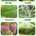 龙生多抗霉素10%番茄黄瓜叶霉病炭疽病灰霉病杀菌剂