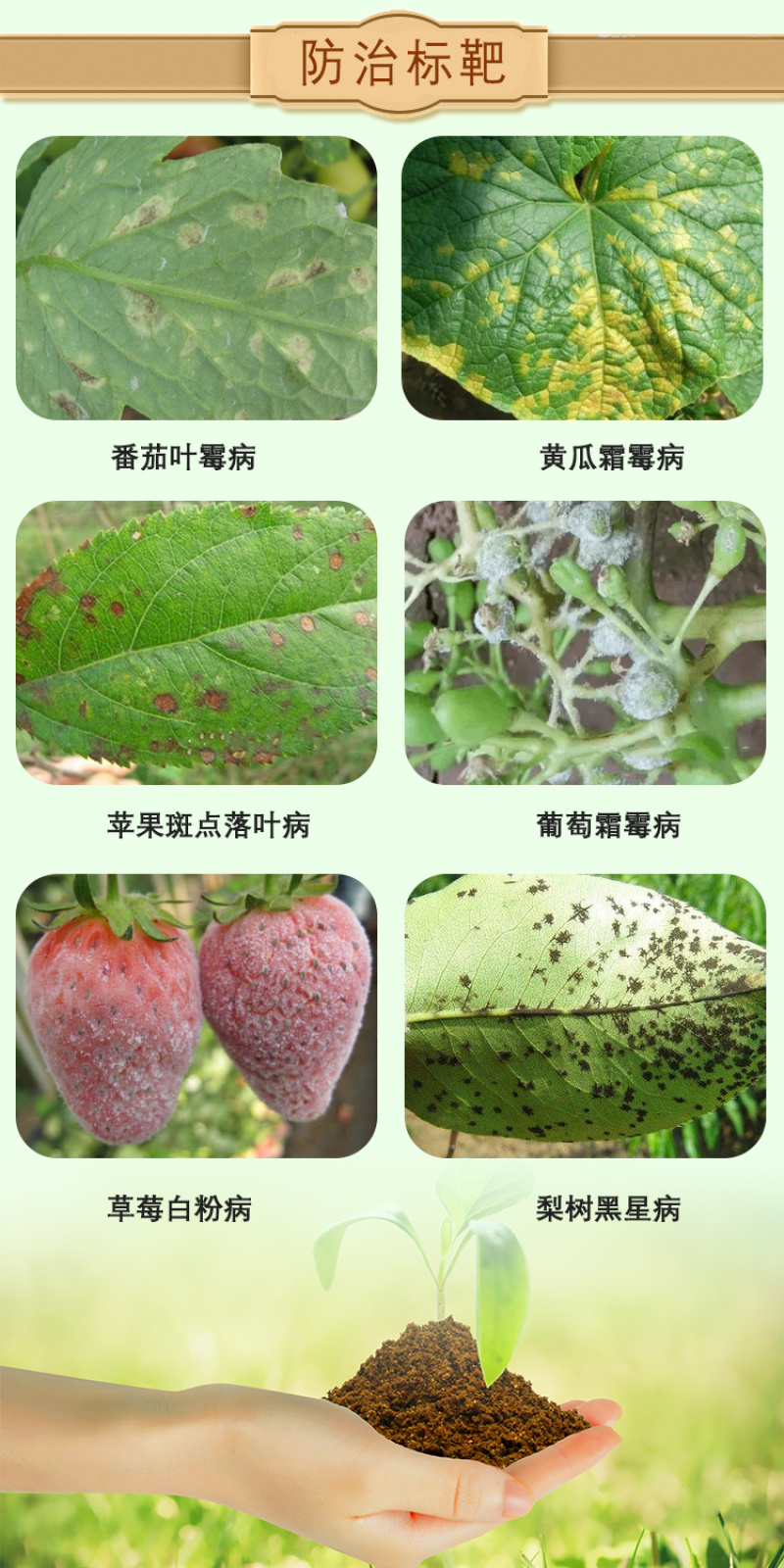 龙生多抗霉素10%番茄黄瓜叶霉病炭疽病灰霉病杀菌剂