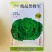 黑心乌塔菜种子黑叶乌塌菜种籽大颗黑菜籽青菜种籽秋天播蔬菜