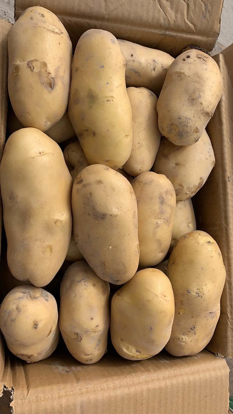 【新疆土豆】马铃薯荷兰系列土豆量大从优欢迎联系