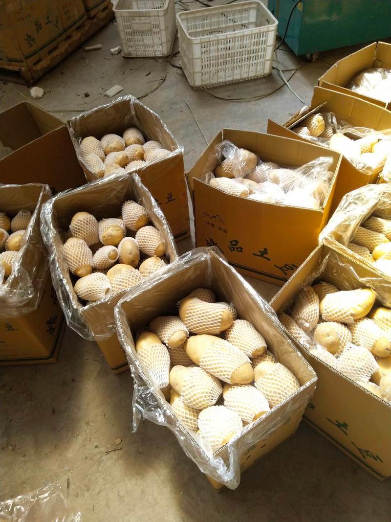 【精品】新疆土豆，荷兰十五土豆，可代办，可发成品