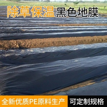 地膜农用黑膜除草农用膜种植种植种菜果园农用地膜包邮