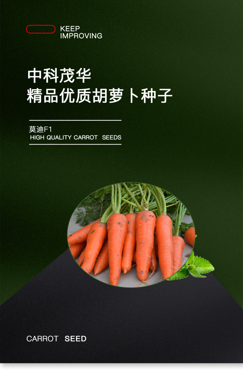 中科茂华蔬菜种子莫迪胡萝卜种子根红芯红肉红坂田原种八代提