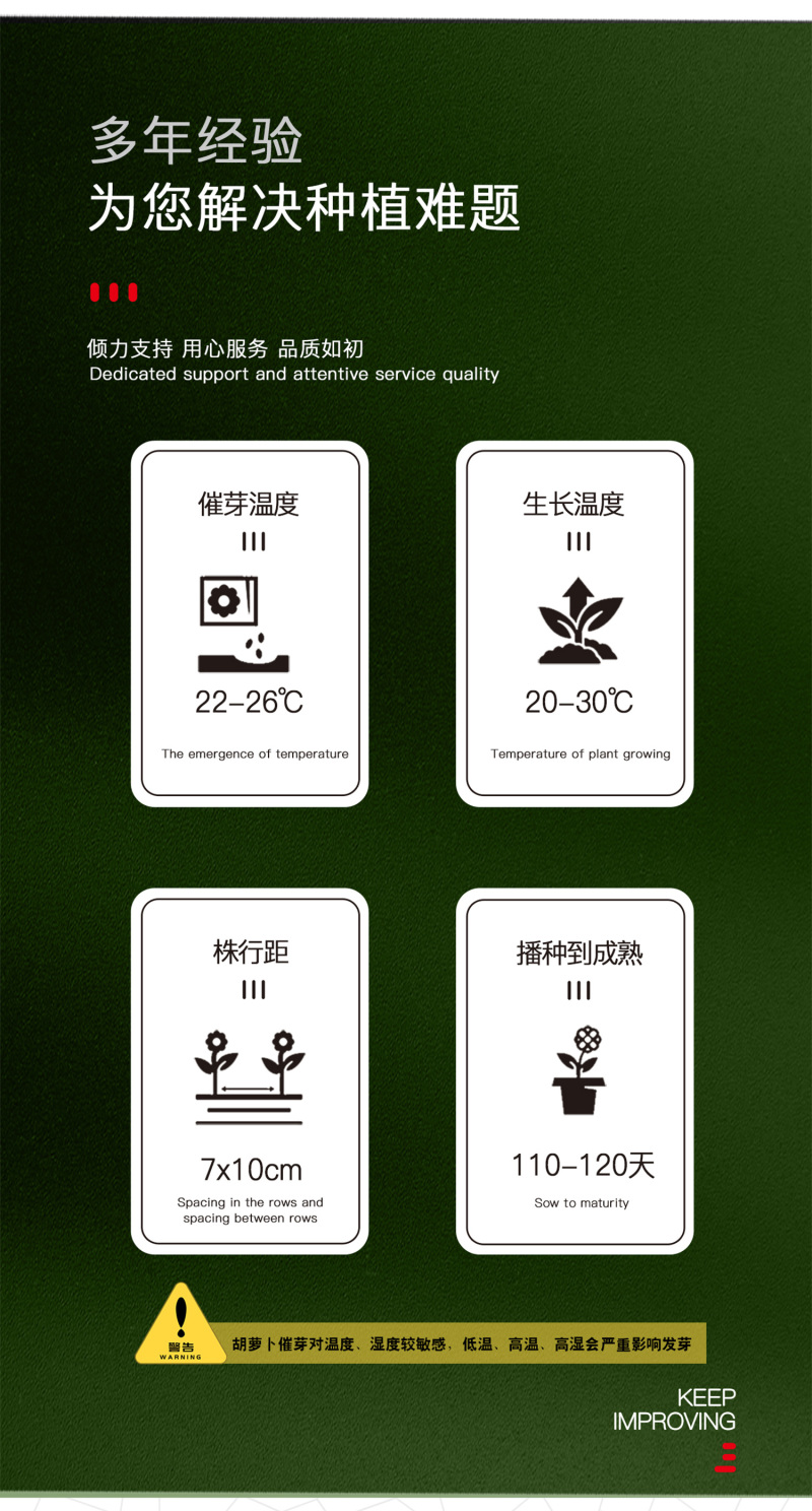 中科茂华蔬菜种子莫迪胡萝卜种子根红芯红肉红坂田原种八代提