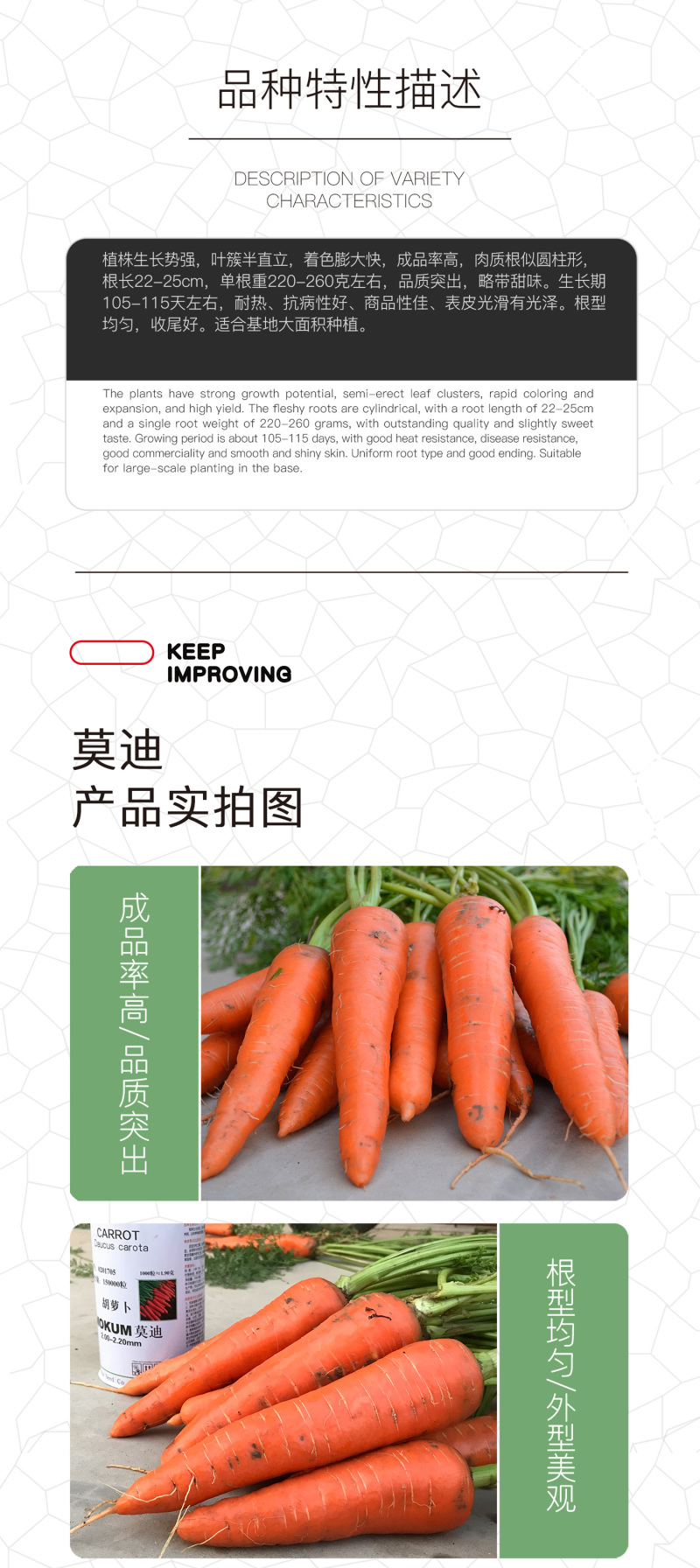 中科茂华蔬菜种子莫迪胡萝卜种子根红芯红肉红坂田原种八代提