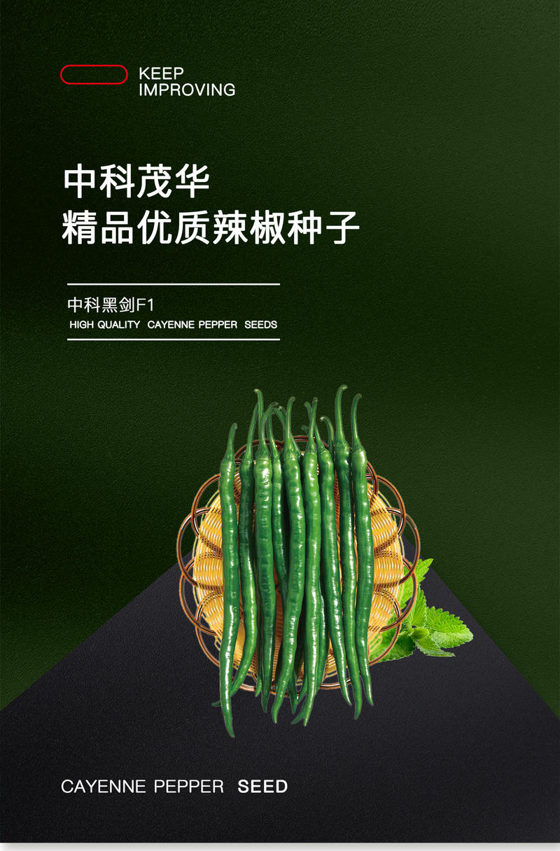 中科茂华蔬菜种子中科黑剑辣椒种子杂交黑线椒種籽厂家直销