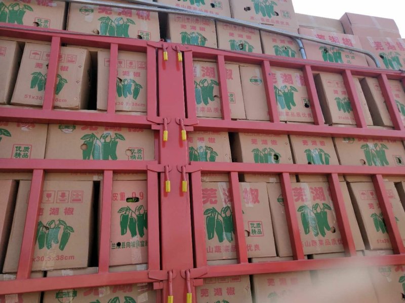 鲜辣椒301尖椒螺丝椒一手货源诚信经营量大从优