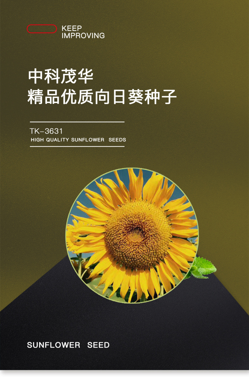 中科茂华蔬菜种子天葵TK-3631杂交向日葵种子食用型葵