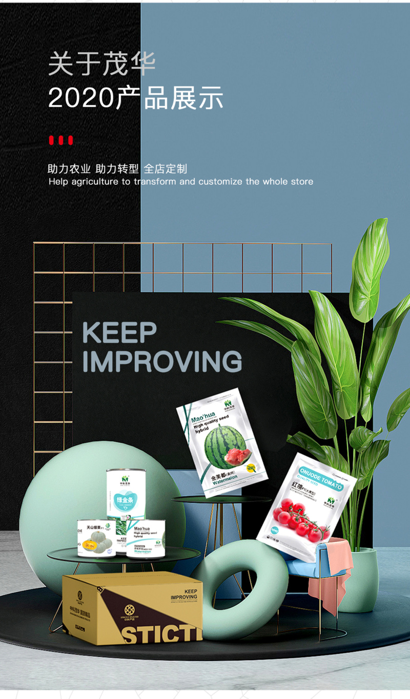 中科茂华蔬菜种子天葵TK-3631杂交向日葵种子食用型葵