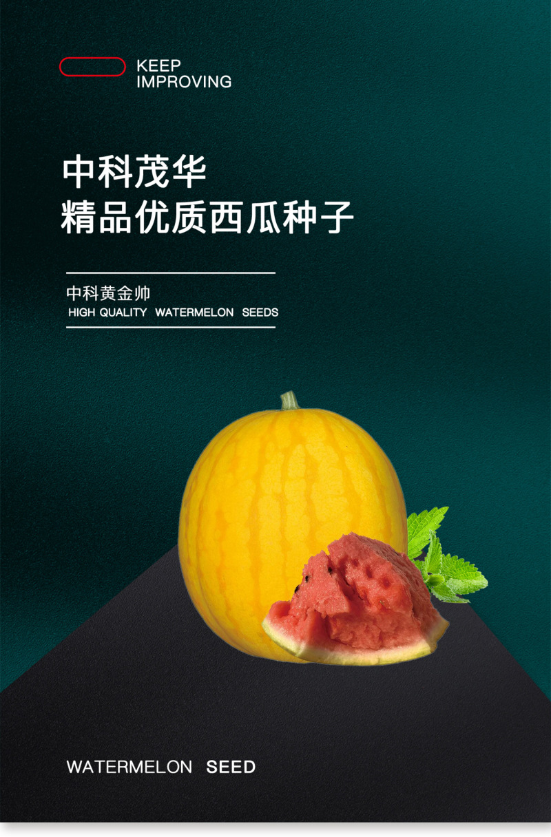 中科茂华水果种子中科黄金帅西瓜种子黄皮红肉礼品西瓜种籽