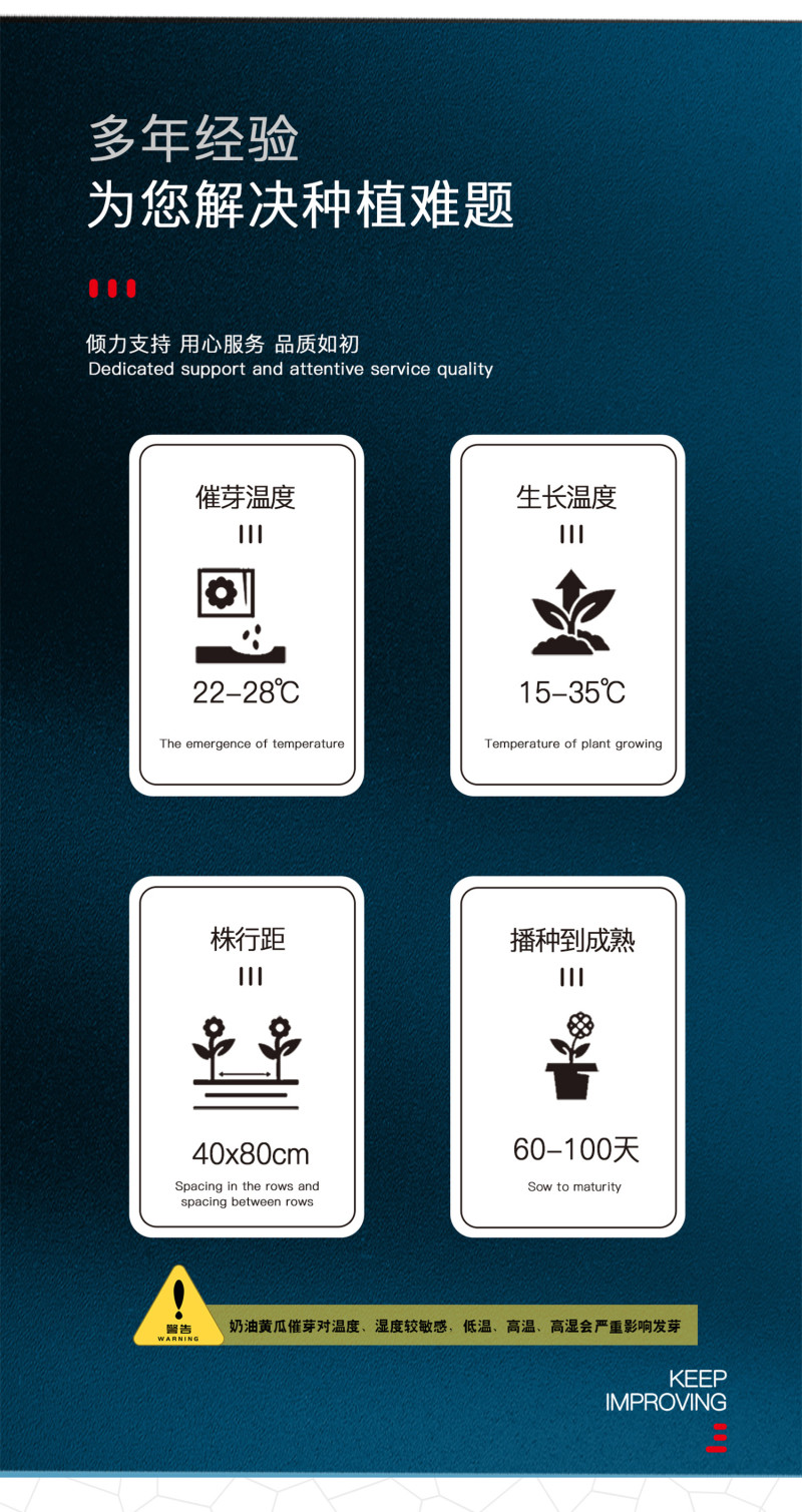 中科茂华蔬菜瓜果种子奶油黄瓜种子杂交一代全雌系节节有瓜