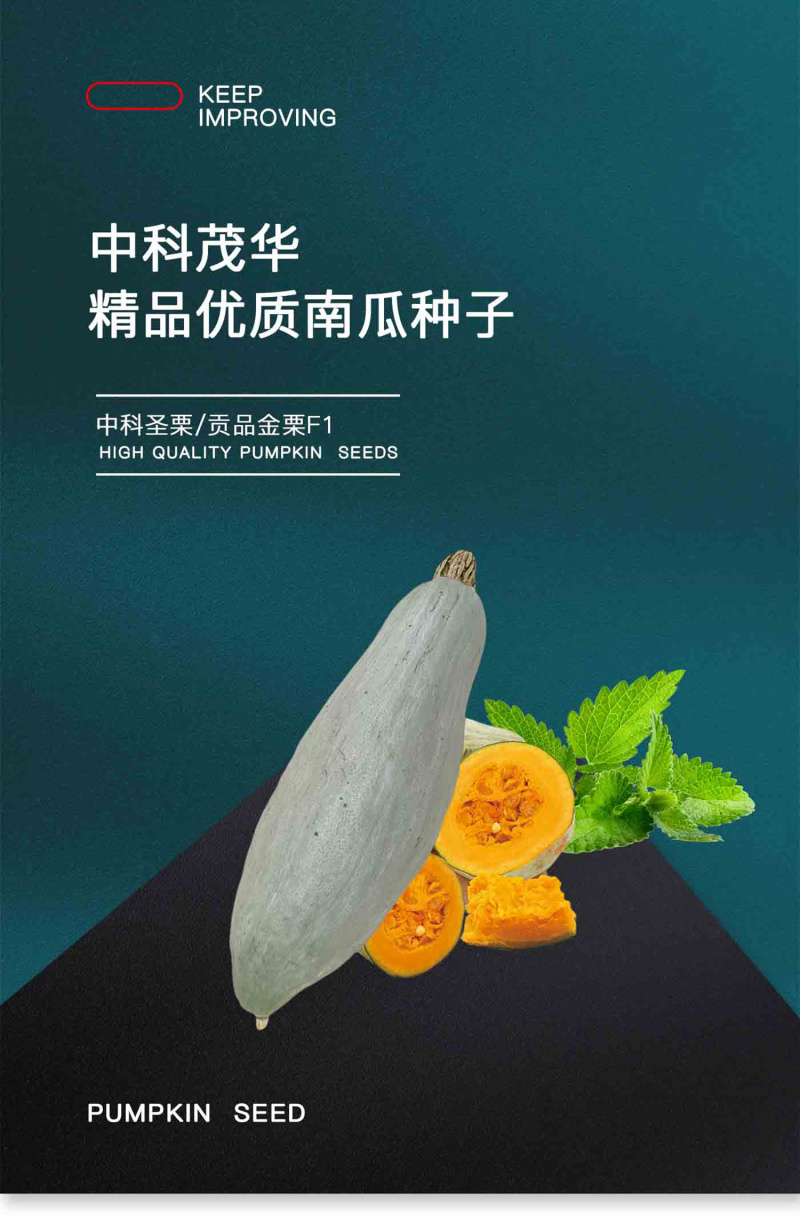 中科茂华蔬菜种子贡品金栗南瓜种子