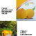 【黄桃包装盒】【纸箱】水果礼盒包装10斤装批发支持定制
