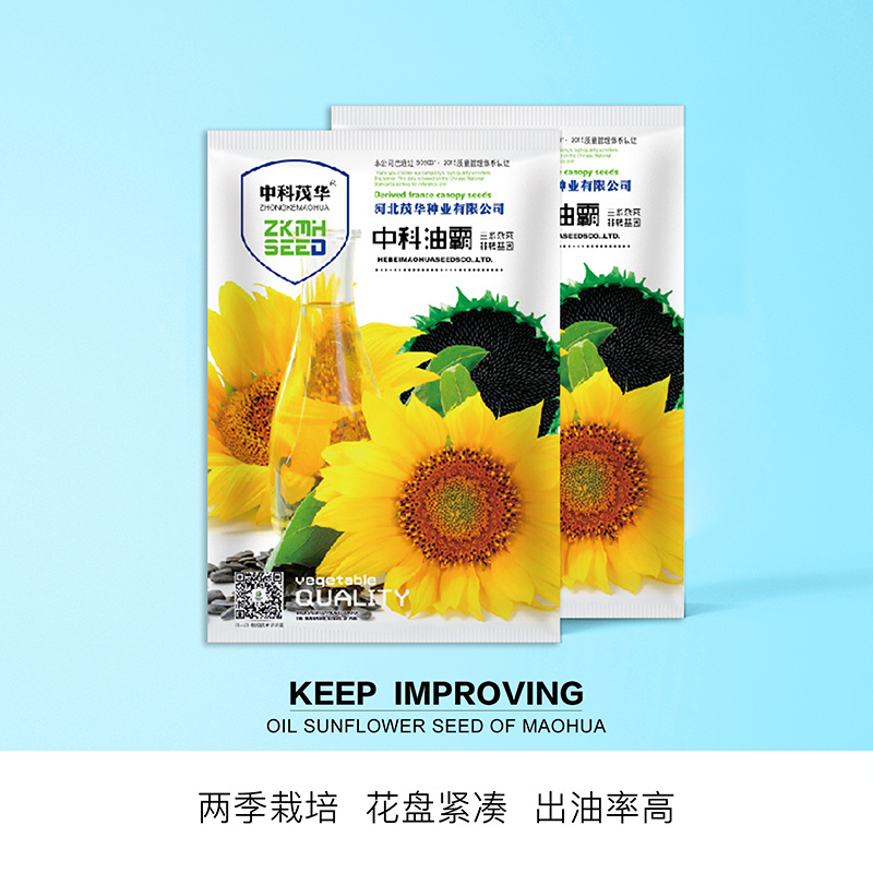 中科茂华蔬菜种子中科油霸三系杂交向日葵油葵种子大盘