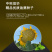 中科茂华蔬菜种子中科油霸三系杂交向日葵油葵种子大盘