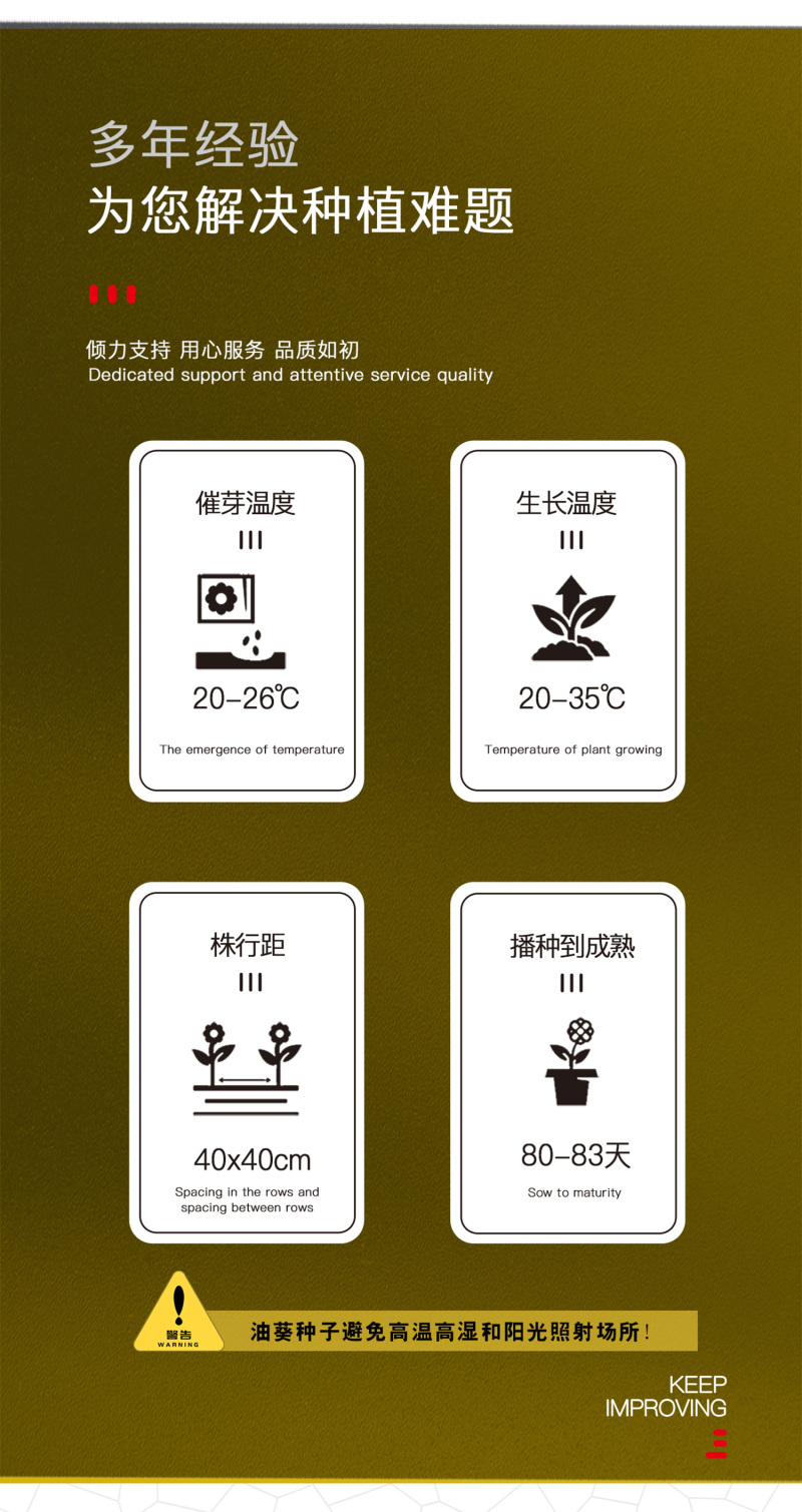 中科茂华蔬菜种子中科油霸三系杂交向日葵油葵种子大盘