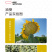 中科茂华蔬菜种子中科油霸三系杂交向日葵油葵种子大盘