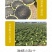 中科茂华蔬菜种子中科油霸三系杂交向日葵油葵种子大盘