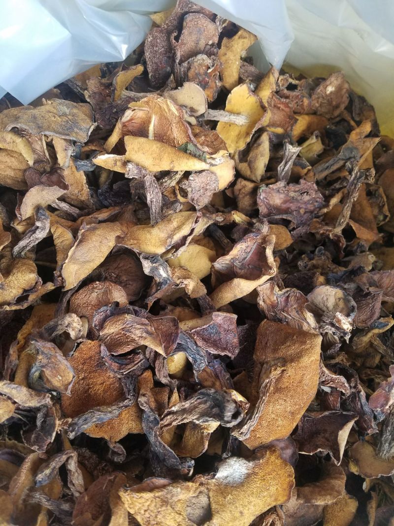 优质手挑自然干松蘑肉厚形好量大从优有需要联系
