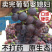 巨峰葡萄，精品巨峰葡萄，巨峰葡萄基地批发，一手货源