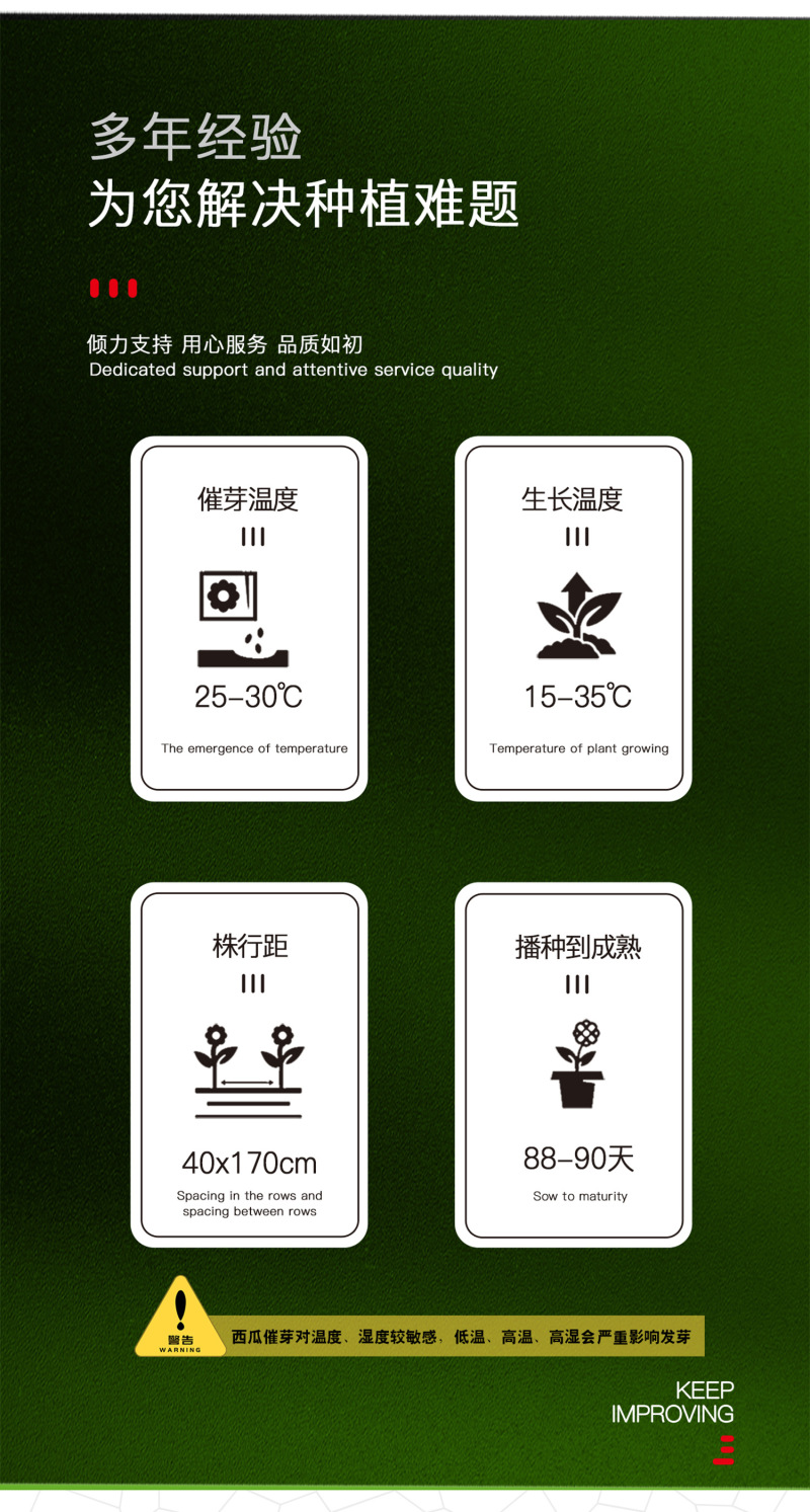 中科茂华经典麒麟西瓜种子杂交双抗欣霸