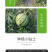中科茂华经典麒麟西瓜种子杂交双抗欣霸