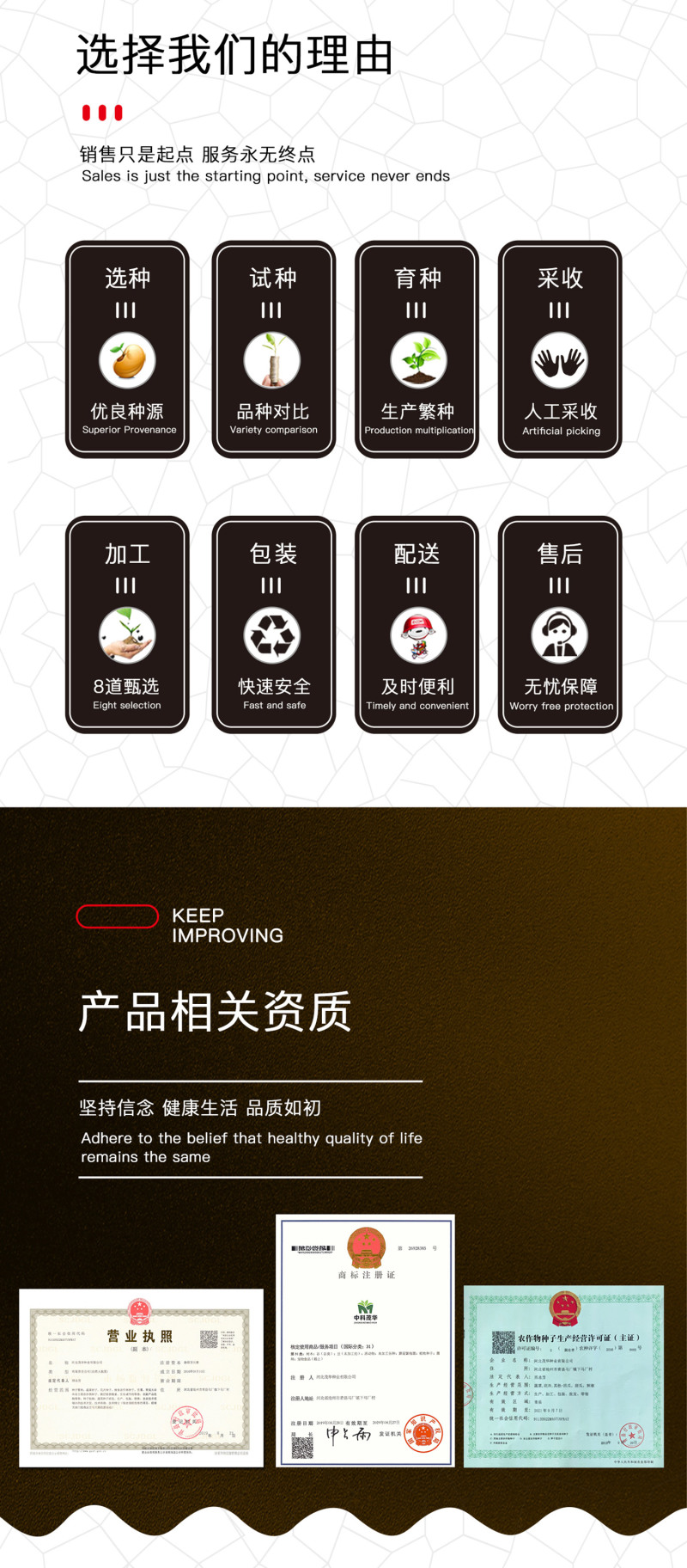 中科茂华经典麒麟西瓜种子杂交双抗欣霸