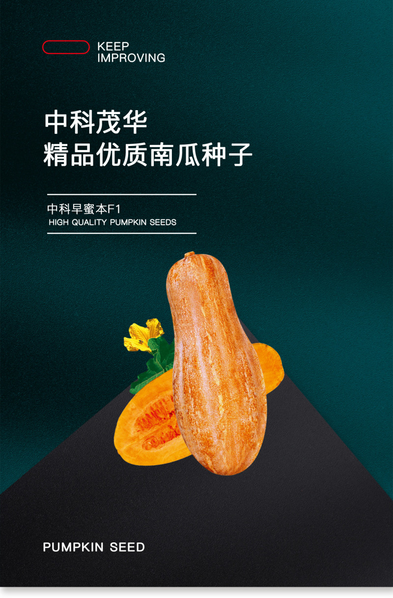 中科茂华蔬菜种子中科早蜜本南瓜种子杂交一代大果早熟