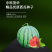 中科茂华蔬菜瓜果种子中科早佳88-24西瓜种子皮薄甜