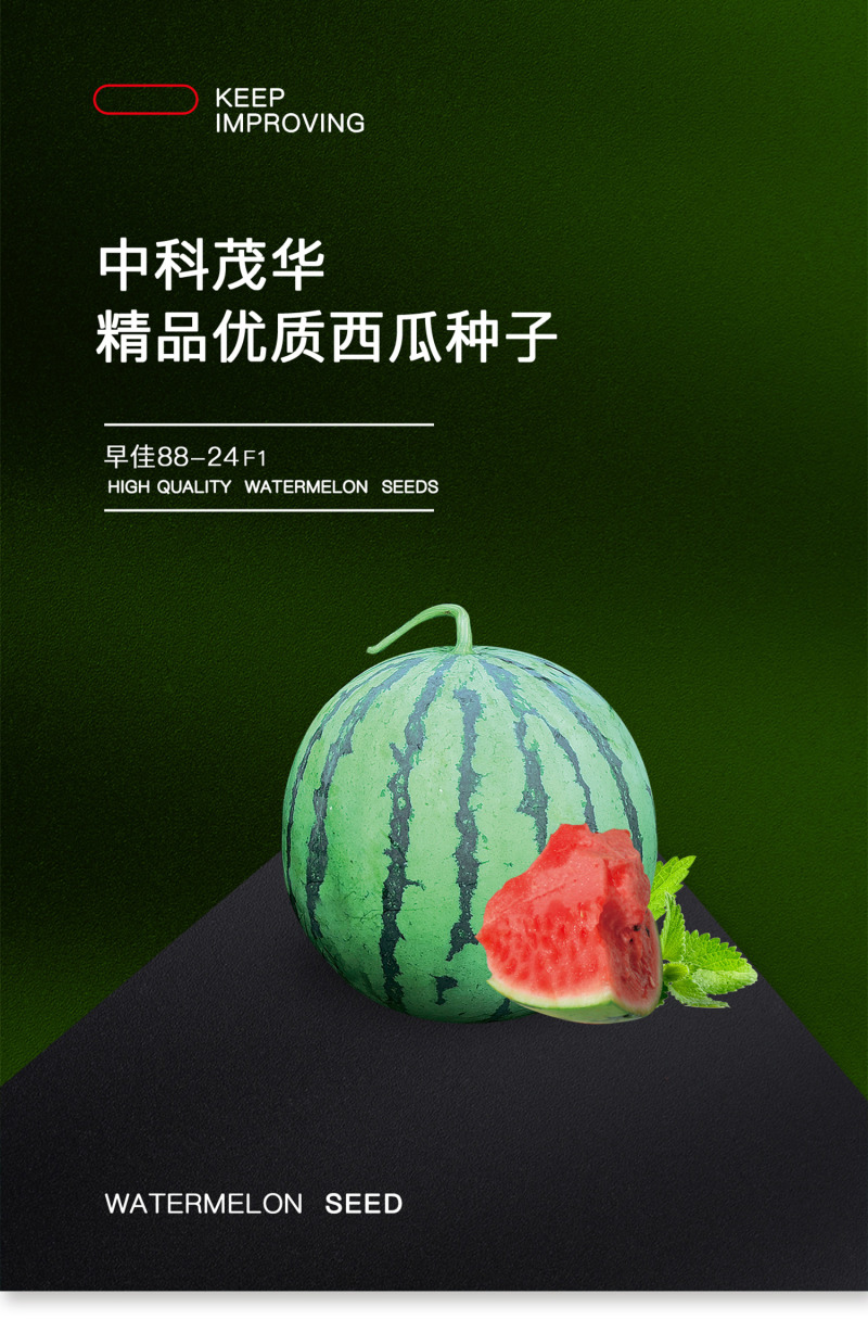 中科茂华蔬菜瓜果种子中科早佳88-24西瓜种子皮薄甜